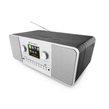 GoGen IR 257 BTDAB internetinis radijas sidabrinis