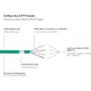 GoodConnections RNS® Cat. 6A S/FTP halogeno neturintis patch kabelis su užrakto apsauga, 3 m, žalias
