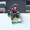 Hamax Sno Zebra sniego rogutės žalios polietileno