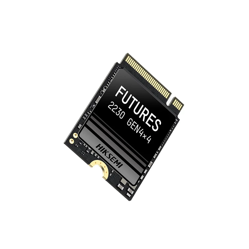 HIKSEMI Future S 1TB M.2 NVMe 2230 kietasis diskas