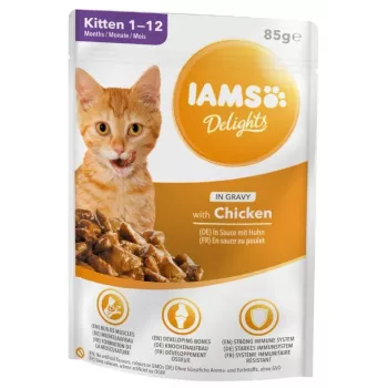 IAMS Delights Kitten Chicken in Gravy šlapi kačiukų maistas, 12 x 85 g pakeliai