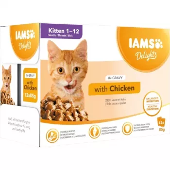 IAMS Delights Kitten Chicken in Gravy šlapi kačiukų maistas, 12 x 85 g pakeliai