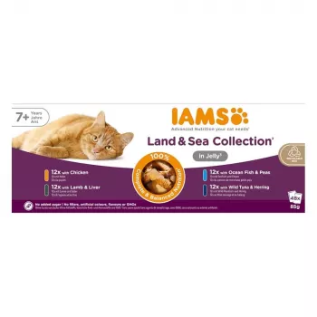 IAMS Senior Meat & Fish Mix in Jelly šlapias kačių maistas – 48 x 85 g paketėliai