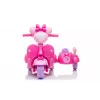 Ledų tematikos triračio paspirtukas Ice Cream Scooter Three-Wheeler JT5258 Pink