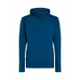 Icebreaker Quantum IV LS Zip Hoodie Vyriškas Atlantis