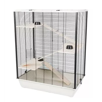INZ INTER-ZOO Diego + Wood Beige 780x480x800 smulkių gyvūnų narvas