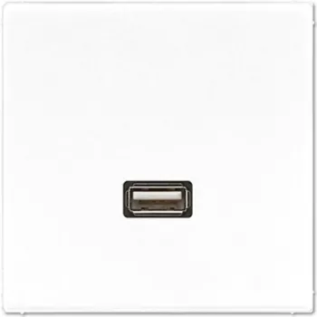 JUNG LS-Series USB 2.0 prijungimo modulis, Alpinės baltos spalvos (MALS1122WW)