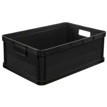 keeeper Robert 45L grafito transportavimo dėžė, 30kg apkrova, 60x40x22cm, sukraunama Euro konteineris su dangčiu