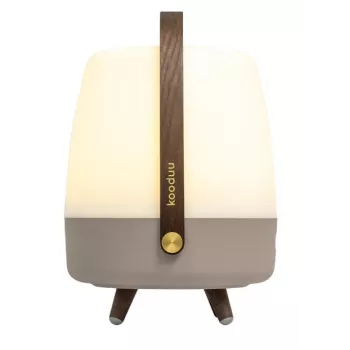 KOODUU Koody Lite-up Play 2.0 Earth LED nešiojama lempa su įmontuotu JBL garsiakalbiu