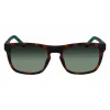 Lacoste L956S-230 vyriški akiniai nuo saulės Havana Brown stačiakampiai acetatiniai 55mm