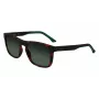 Lacoste L956S-230 vyriški akiniai nuo saulės Havana Brown stačiakampiai acetatiniai 55mm