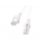 Lanberg PCU6-10CC-0050-W Cat6 U/UTP Patch Cable 0,5m White