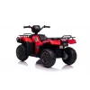 LEAN CARS elektrinis keturratis motociklas JC915 raudonas 12 V