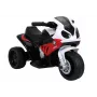 LEAN CARS Motociklas BMW S1000RR Raudonas