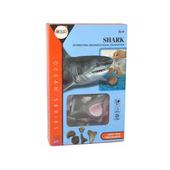 LEAN TOYS Ammonite Shark Excavation Educational Kit