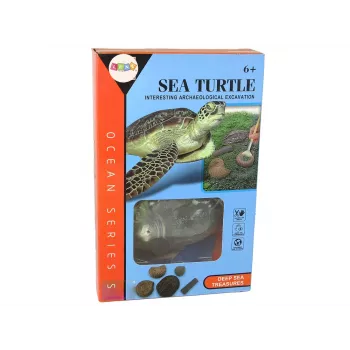 LEAN TOYS Ammonite Turtle Excavation Educational Kit