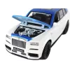 LEAN TOYS Automobilis RC 1:20 Baltas ir Mėlynas nuotoliniu valdymu