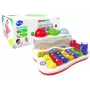 LEAN TOYS Lavinamasis vaikiškas ksylofonas su plaktuku ir spalvotais kamuoliukais