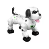 LEAN TOYS Interaktyvus nuotolinio valdymo robotas šuniukas