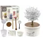 LEAN TOYS Magic Tree Crystal Growing Silver Experiences
