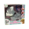 LEAN TOYS Plush Dog Interactive Educational Leash Songs Walks