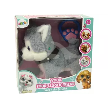 LEAN TOYS Plush Dog Interactive Educational Leash Songs Walks