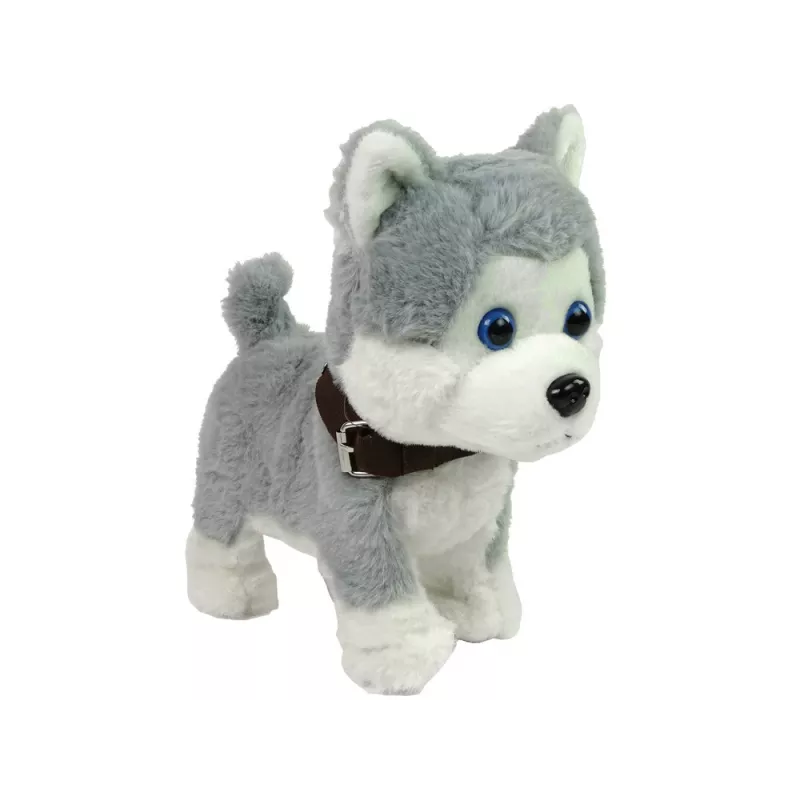LEAN TOYS Plush Dog Interactive Educational Leash Songs Walks