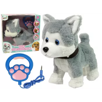 LEAN TOYS Plush Dog Interactive Educational Leash Songs Walks
