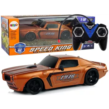 LEAN TOYS R/C Sports Car 1:18 Brown Champion Pilot