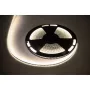LED juosta 25m Rebel 300x5050 SMD Neutral White Waterproof 12V