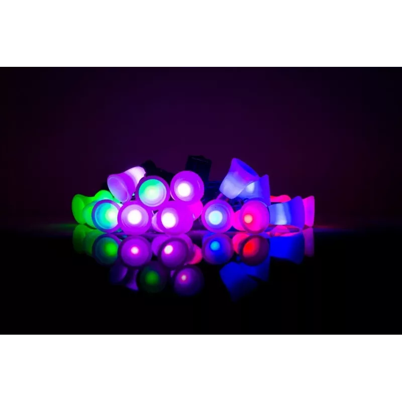 LED girlianda su varpeliais, 20 šiltų baltų LED, 2,5 m, baterijomis, auksinė