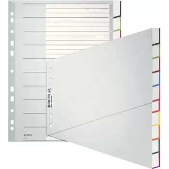 Leitz A4 tušti skyrikliai, polipropilenas, pilki, 10 dalių, universalus perforavimas 1270