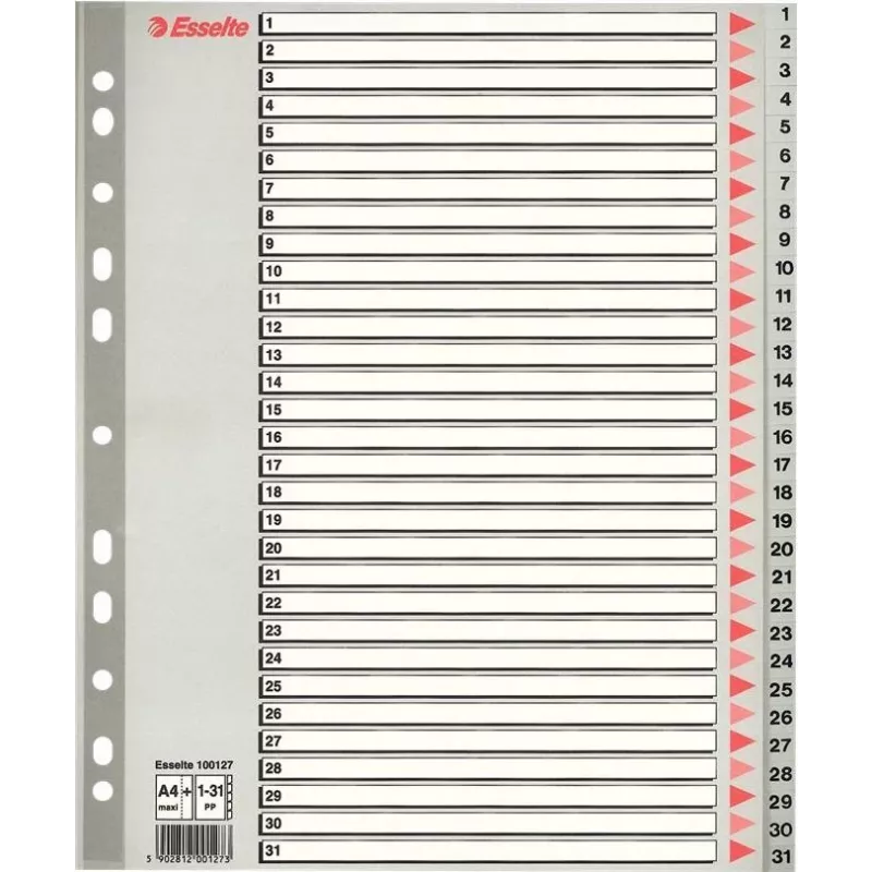LEITZ A4 itin platūs tušti plastikiniai skyrikliai, 20 dalių, universalus perforavimas, permatomai balti 1278-00-00
