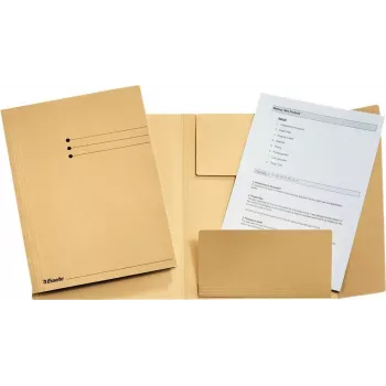 LEITZ Esselte teisinis segtuvas, DIN A4, manilos kartonas, 275 g/m², šamua spalvos su 3 atvartais ant apatinio viršelio, liniuotė ant priekinio viršelio, 50 vienetų (1033304)