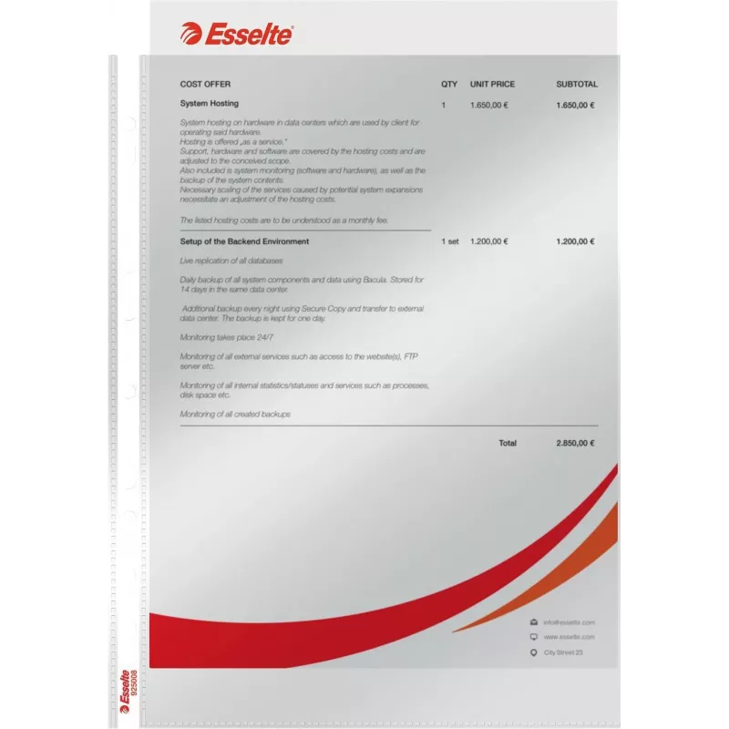 LEITZ Esselte Standartinis dokumentų įmautė A4, polipropilenas, skaidri, 0,06 mm, atidaroma iš viršaus, dokumentams saugi, daugiaaukštė perforacija, sustiprintas kraštas, 100 vnt. pakelis (925008)