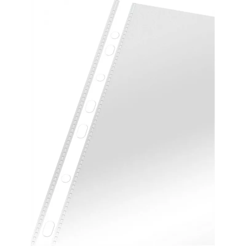 LEITZ Esselte Standartinis dokumentų įmautė A4, polipropilenas, skaidri, 0,06 mm, atidaroma iš viršaus, dokumentams saugi, daugiaaukštė perforacija, sustiprintas kraštas, 100 vnt. pakelis (925008)