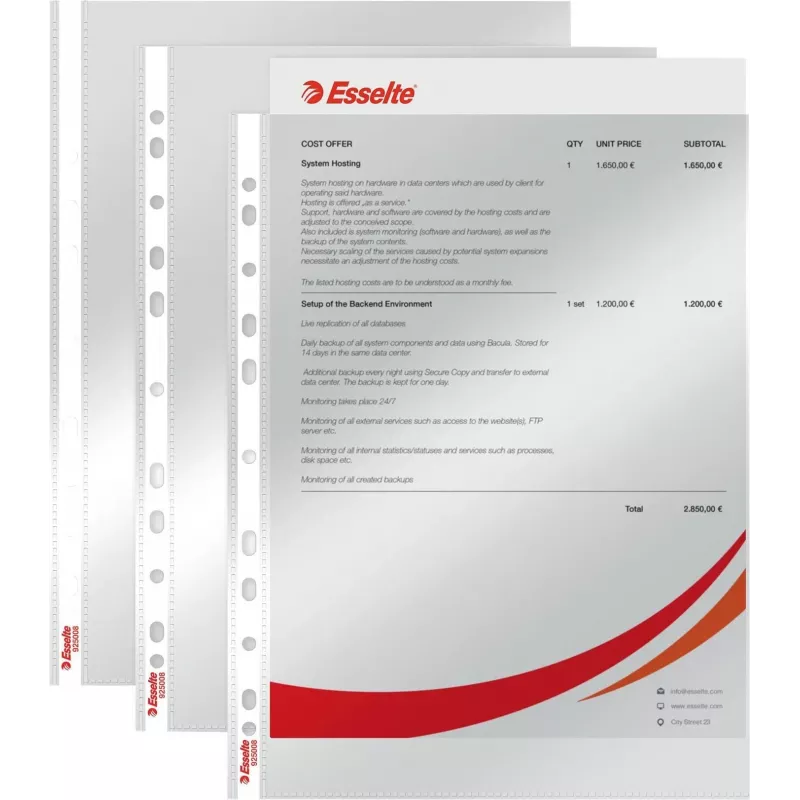 LEITZ Esselte Standartinis dokumentų įmautė A4, polipropilenas, skaidri, 0,06 mm, atidaroma iš viršaus, dokumentams saugi, daugiaaukštė perforacija, sustiprintas kraštas, 100 vnt. pakelis (925008)