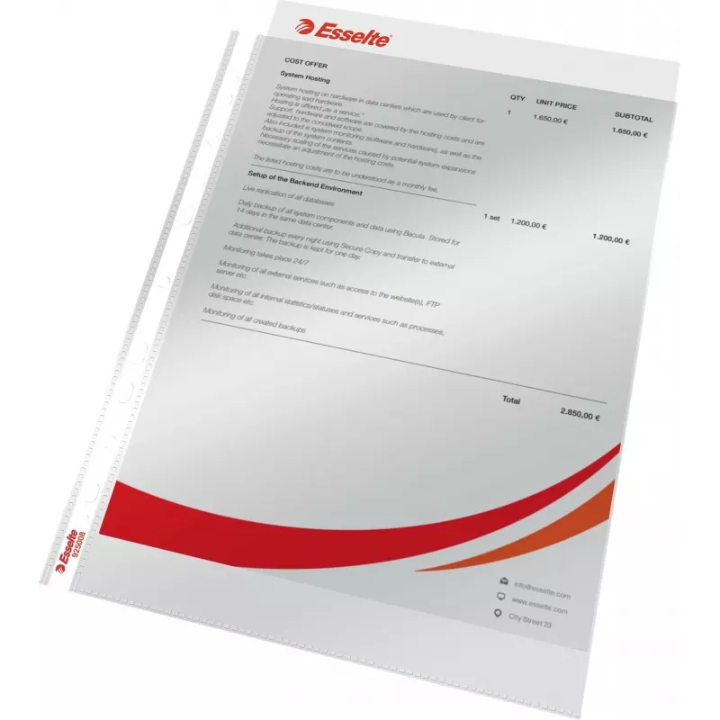 LEITZ Esselte Standartinis dokumentų įmautė A4, polipropilenas, skaidri, 0,06 mm, atidaroma iš viršaus, dokumentams saugi, daugiaaukštė perforacija, sustiprintas kraštas, 100 vnt. pakelis (925008)