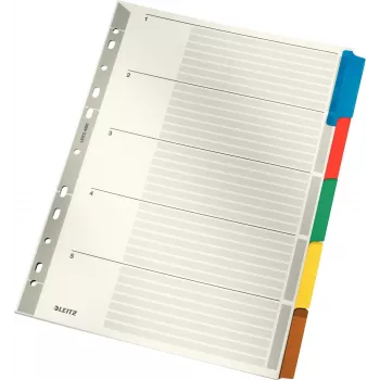 LEITZ Mylar kartoniniai skyrikliai, tušti, A4, 5 dalių, pilkos kortelės, 160 gsm, su rašoma viršelio lapu 4320-00-00