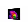 LG OLED83G61LW 83 colių OLED evo 4K išmanusis televizorius (webOS 23, α9 AI procesorius Gen6, Dolby Vision/Atmos, 120Hz, G6 Gallery dizainas)