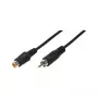 LogiLink garso ilginimo laidas RCA kištukas – RCA lizdas, 10 m, juodas