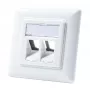 LogiLink NK4020 Keystone sieninė plokštė, įleidžiama, 2 moduliams, signalinė balta