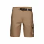 Mammut Hiking Cargo Pants Vyriškos Žygio Kelnės Dark Sand