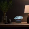 Manta SNL64RGB LED lempa 3D RGB dekoratyvinė šviesa automobiliui