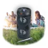 Manta SPK815 nešiojamas Bluetooth vakarėlių garsiakalbis su karaokė funkcija, 30W RMS, Disco LED, FM radiju, USB/SD/AUX