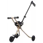 Micro Trike Deluxe Push Ride-On Trike for Toddlers 18 Months to 5 Years