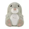 Momini kompresorinis purkštuvas NebuBunny