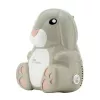 Momini kompresorinis purkštuvas NebuBunny