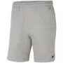 Nike Park 20 vyriški šortai Dark Grey Heather XL