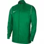 Nike RPL Park 20 RN JKT W Vyriška striukė žalia BV6881 302 XL
